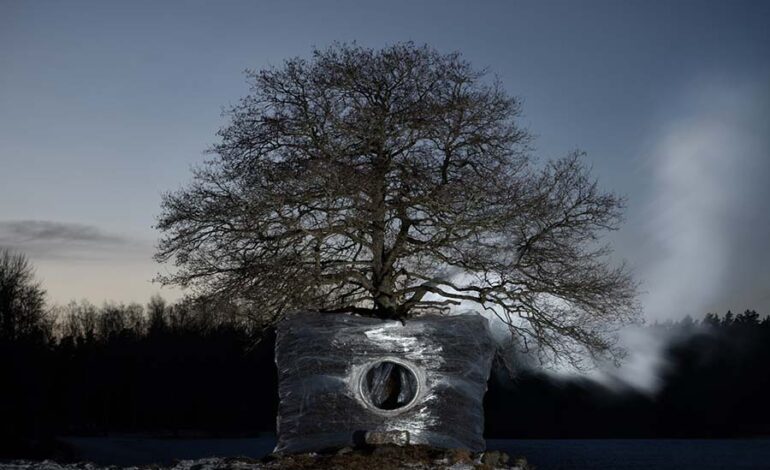 Exploring the Seasons: One Tree Four Seasons Installation